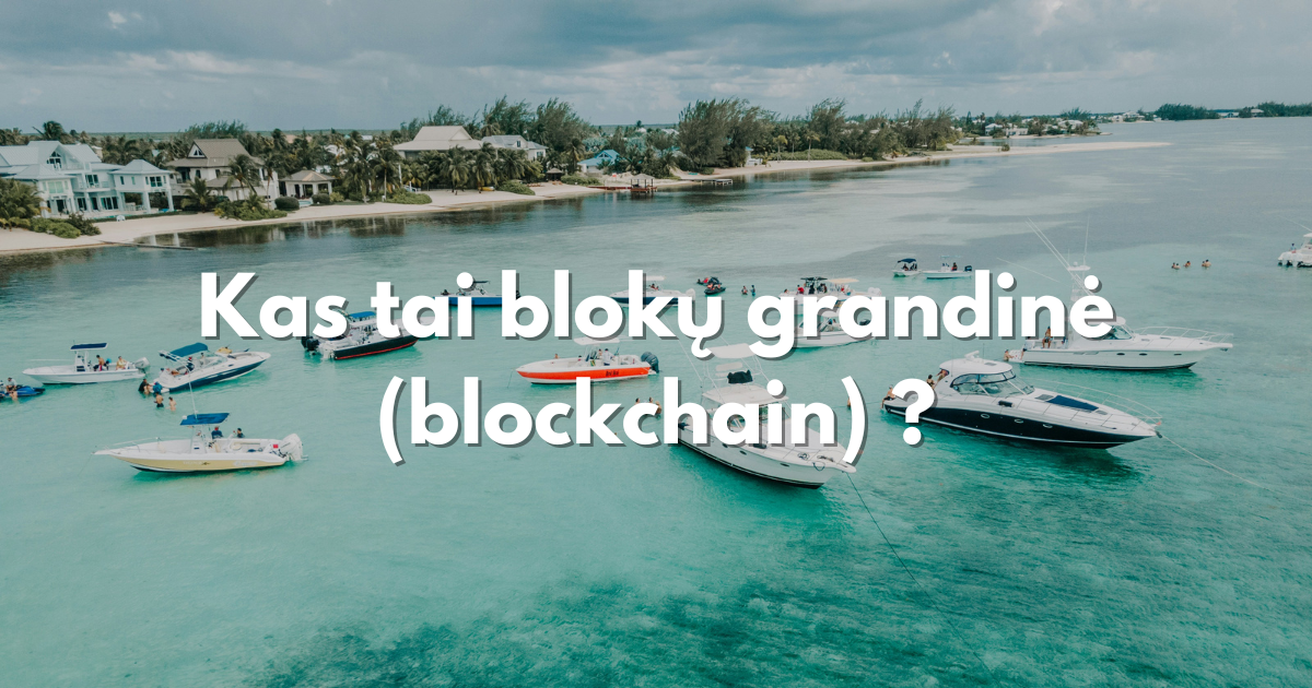 Blokų gradinė - Blockchain - kas tai?
